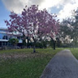 Meet your Posher, Marcos antonio